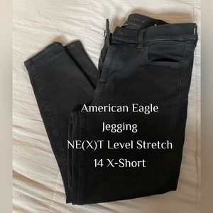 American Eagle jean, in the color black, in the size 14 x-short.